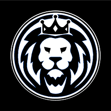 Logo STEEL FASHION